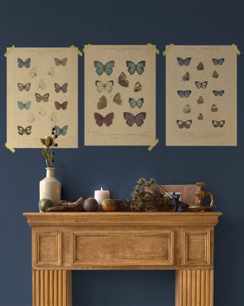 Flax Art Poster | Encyclopedia Butterfly B | FWP-AP-EN2B